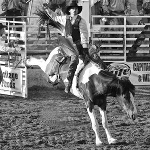 Rodeo Days